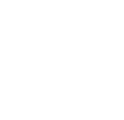 SignedEleven